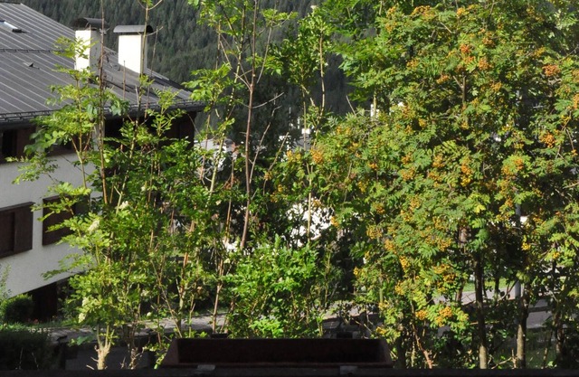 The Mountain View In San Vito di Cadore