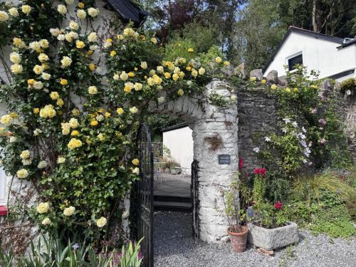 The Old Kitchen Exford