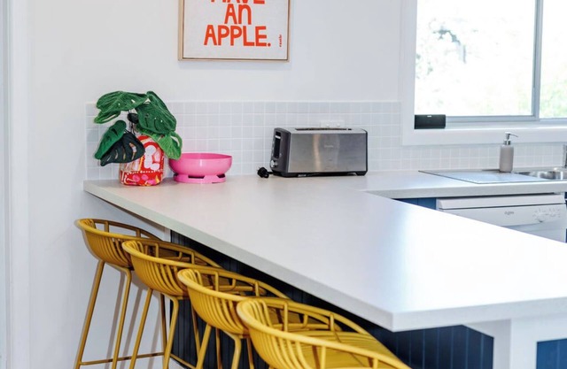 The Shark Haus Summar