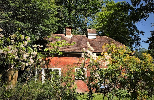 The Squirrels is a charming detached cottage in the New Forest National Park