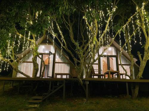 The Tree House Moc Chau