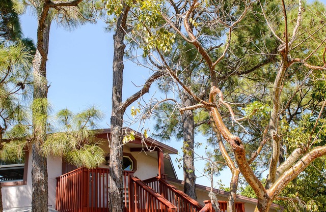 The Tree House