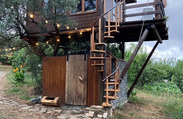 The Treehouse - Treehouse at Golden Camp