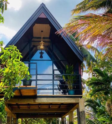 The Warming Nest Tree House