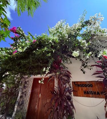 Thoddoo Haisha inn, Maldives