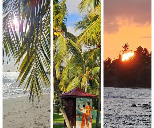 TI OASIS Dominica - Piscine et Plage à P&Vac Village-Club, 1 chambre 1 salon