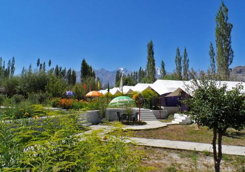 Tiger Camp Nubra