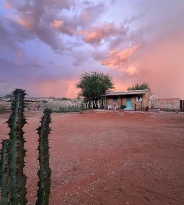 Tigers’Lair Dorsland Cottage