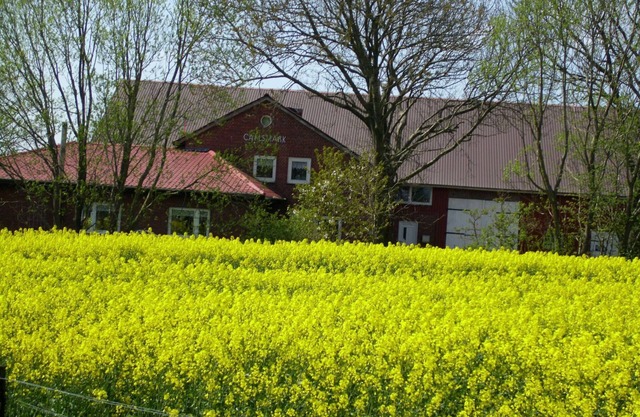 Time out from everyday life in Nordfriesland