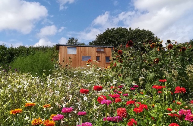 Tiny house close to the Sea & Ocean (20 min.) on an organic agro-ecologic farm.