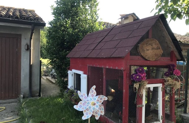 Tra i Campi Di Papaveri