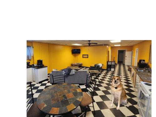 Trailside Furnished Apartment