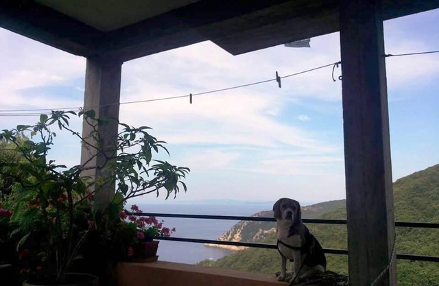 Tranquility and spectacular views