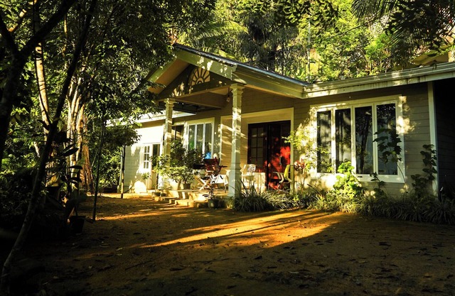 Tree Nature Resort