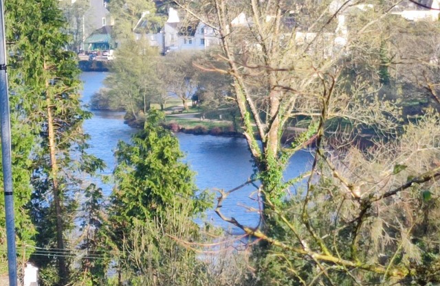 Tree oasis .canopy terrace