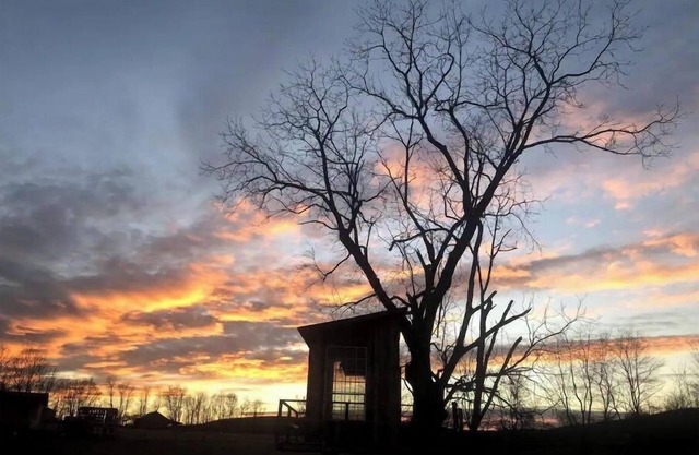 Treehouse at Fairview Farms