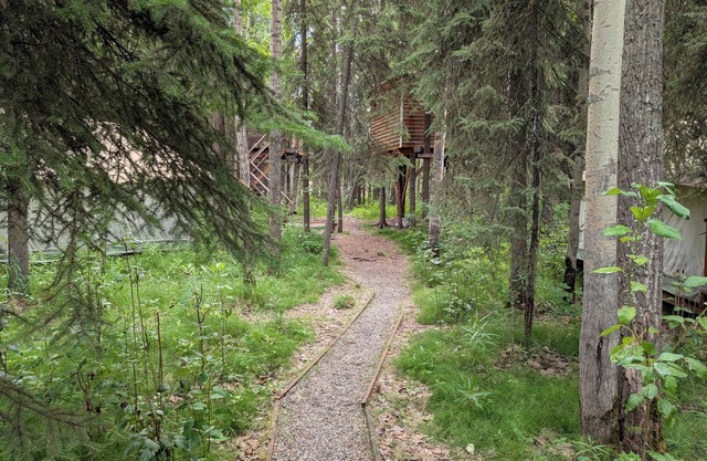 Treehouse "Indiana Jones"