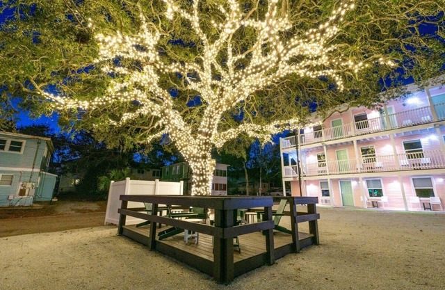 TreeHouse Lodge, Walk to Beach, Pet-Friendly 202