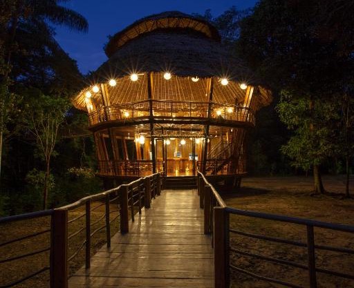 Treehouse Lodge