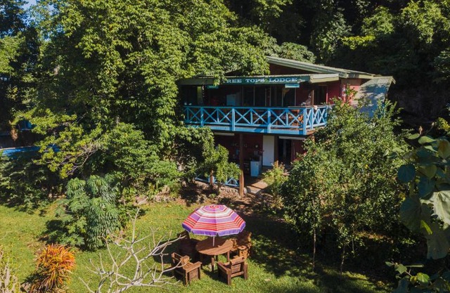 Treetops Boutique Hotel & Bungalows