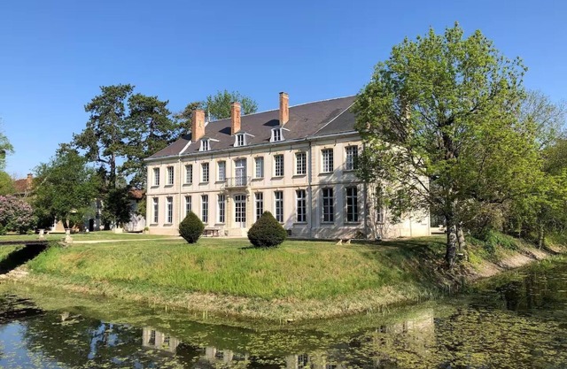 Tremendous 8-bedroom castle in Isle-sur-Marne