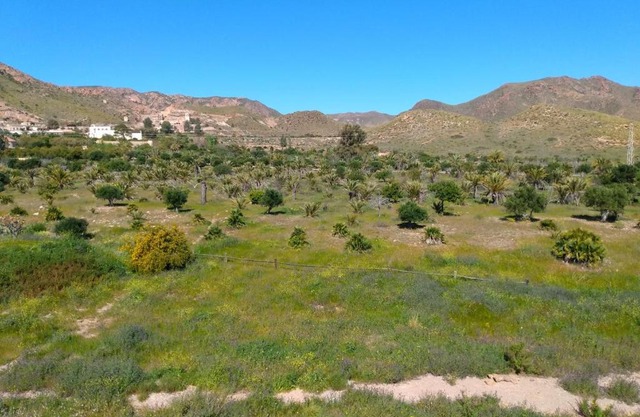 Trendy Homes Casa Nerida