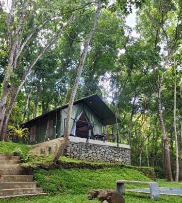 Trickling Stream Campsite