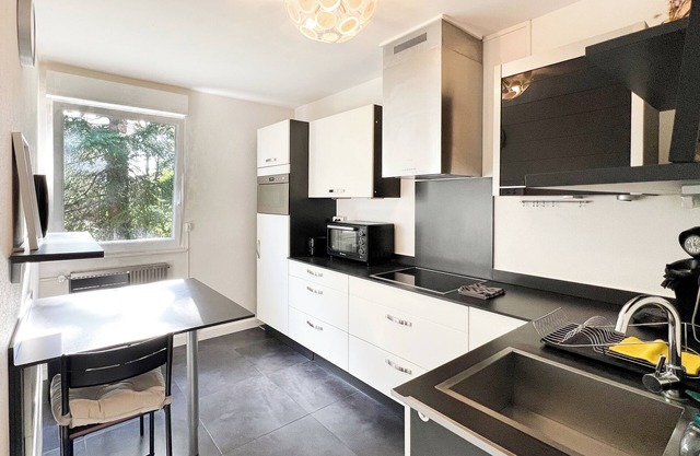 Trinational Stopover - close to 3 CH/DE/FR borders, Airport