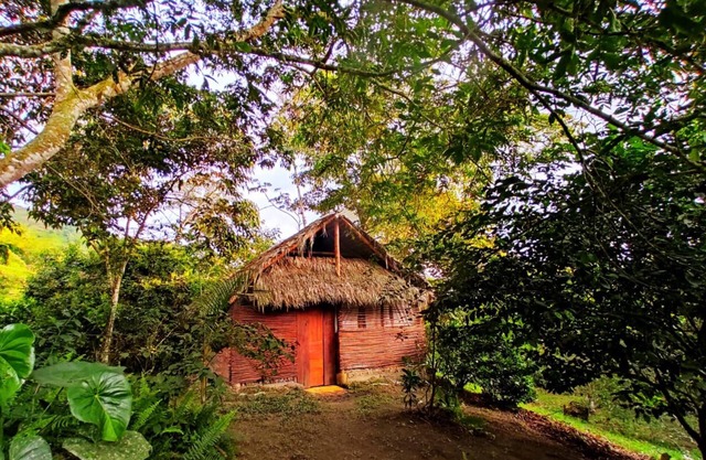 Tropical Biohostel by Rotamundos