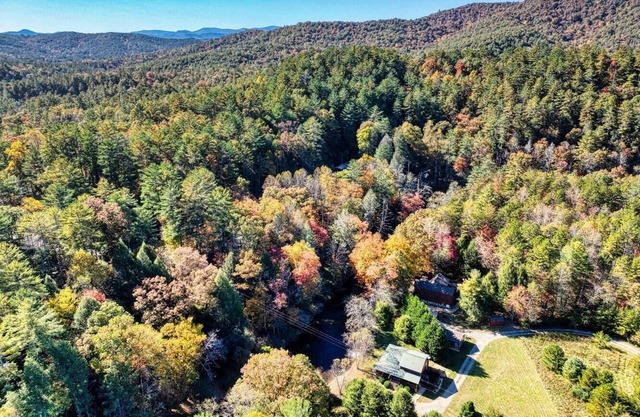 Troutmendous on the River - 3 BR, Hot Tub, Charcoal Grill, Screened Porch!