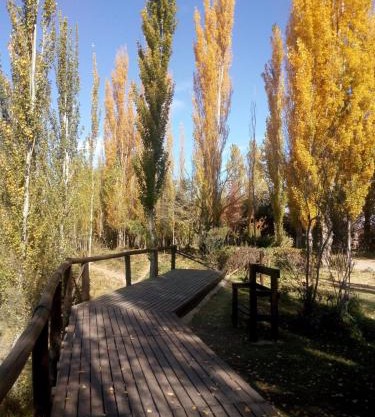 Tunuyán centro