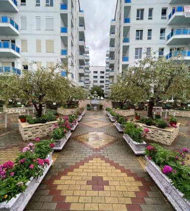 Tushemisht Apartment Rent 1