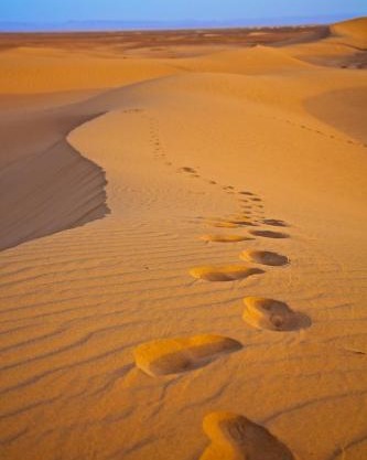 Two and Three Bedroom at GoBajac