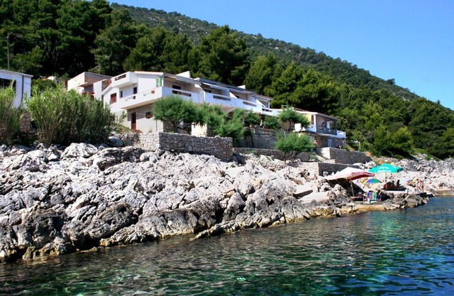 Two bedroom apartment near beach Cove Solotiša, Hvar (A-5610-c)