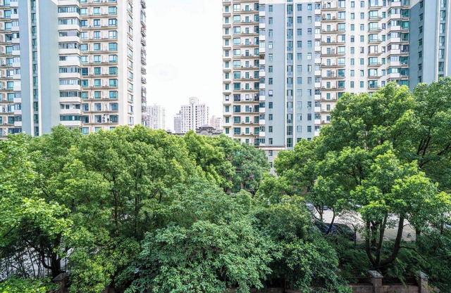 Tyms Modern 1BR 1BA Suite Xujiahui Shops