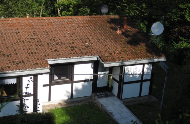 Type Scout 42 - One Bedroom Resort, Sleeps 3