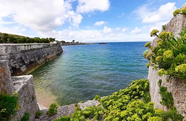 Un Délicieux Moment, au Cœur de Saint-martin, Dans cet Appartement Avec Jardinet