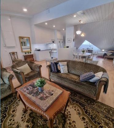 Uniikki kattohuoneisto ydinkeskustassa, lämmin pysäköinti, max 6 hlöä