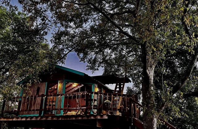 Unique Bamboo Tree House for an Unforgettable Couples Getaway by Lake Conroe, Texas