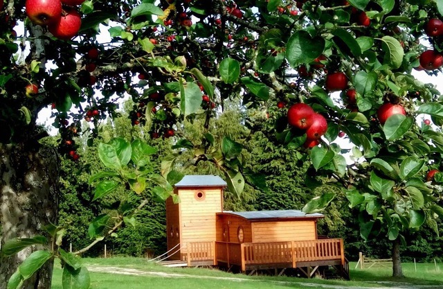 Unique chalet amidst nature, pets welcome