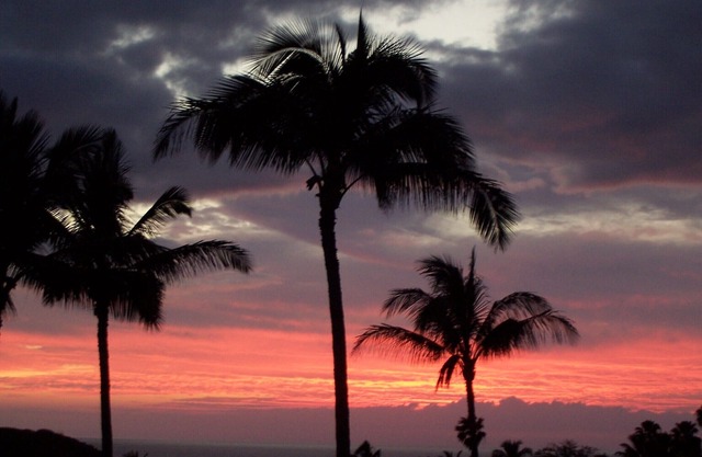 Unobstructed Ocean View - Lovely 1/1