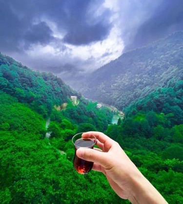 Uzungöl’e Yakın Doğadaki Eviniz