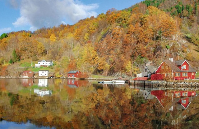 Vågen 1