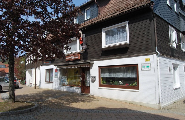 Vacation apartment/apartment for 6 guests with 90m² in Braunlage (54998)