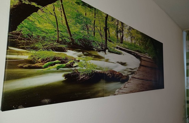 Vacation apartment/apartment for 6 guests with 72m² in Baden-Baden (177279)