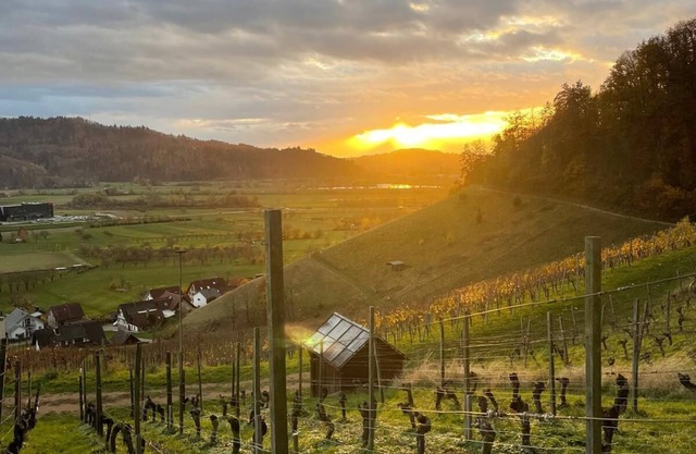 Vacation apartment Winzerstube