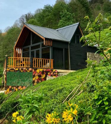 VAESS Villa Dağ Evleri