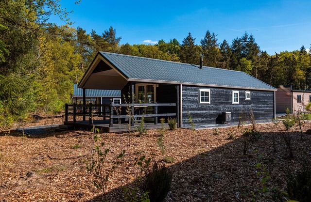 Vakantiepark De Wiltzangh - Vakantiechalet 4