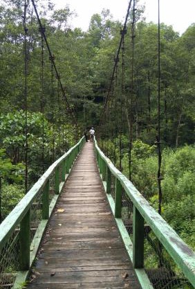 Vamoose Bhutia Homestay