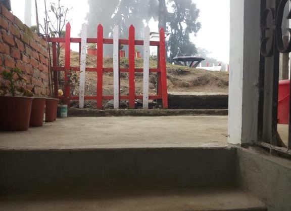 Vamoose Rhododendron